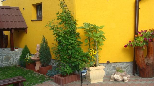 Privat U Zdenky Hotel Tvrdosin Exterior photo